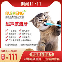 宠儿香美护毛产品-健康染剂（紫）J 16*11.5*4.5cm